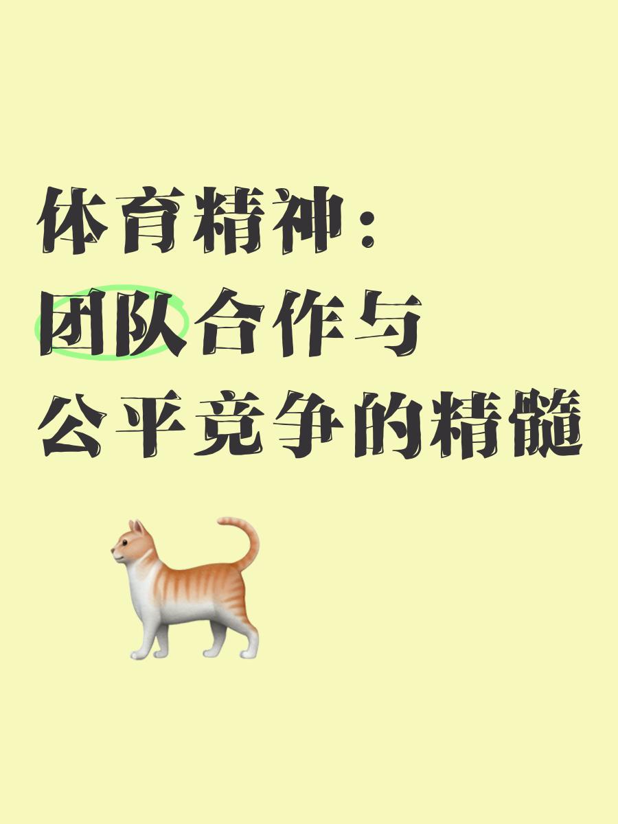 球队在比赛中展现出色的团队协作精神